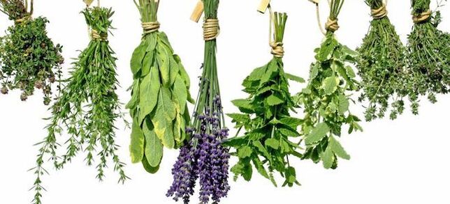 Herbal untuk meningkatkan potensi pada pria